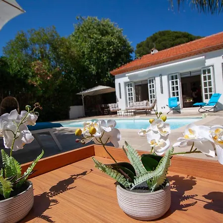 Stunning Juan Les Pins 4 Bed With Pool * Antibes